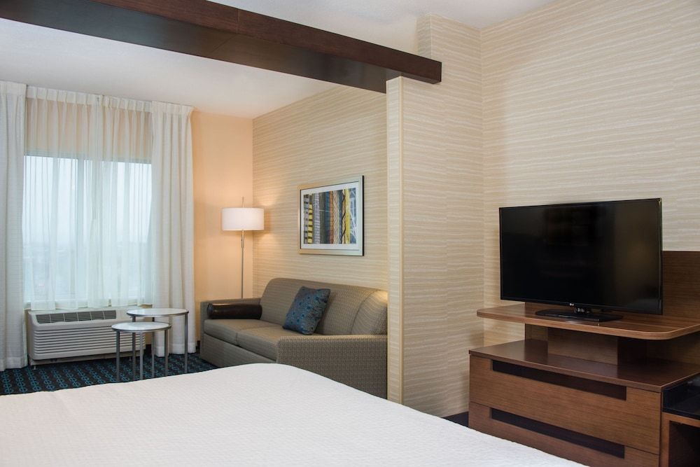 Suite, 1 King Bed with Sofa bed