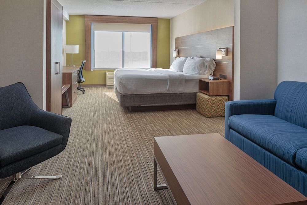 Suite, 1 King Bed with Sofa bed