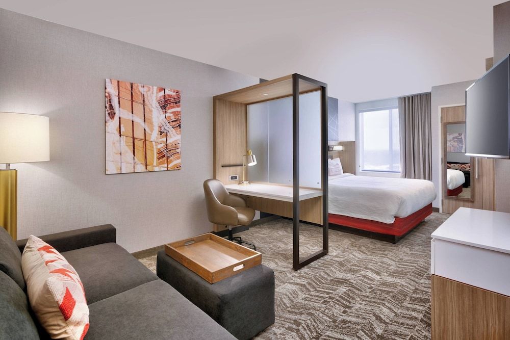 Suite, 1 King Bed with Sofa bed (Hearing Accessible)