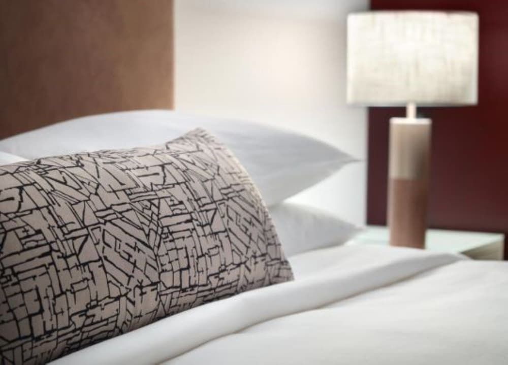 Omni Viking Lakes Hotel Deluxe Room, 1 King Bed 2