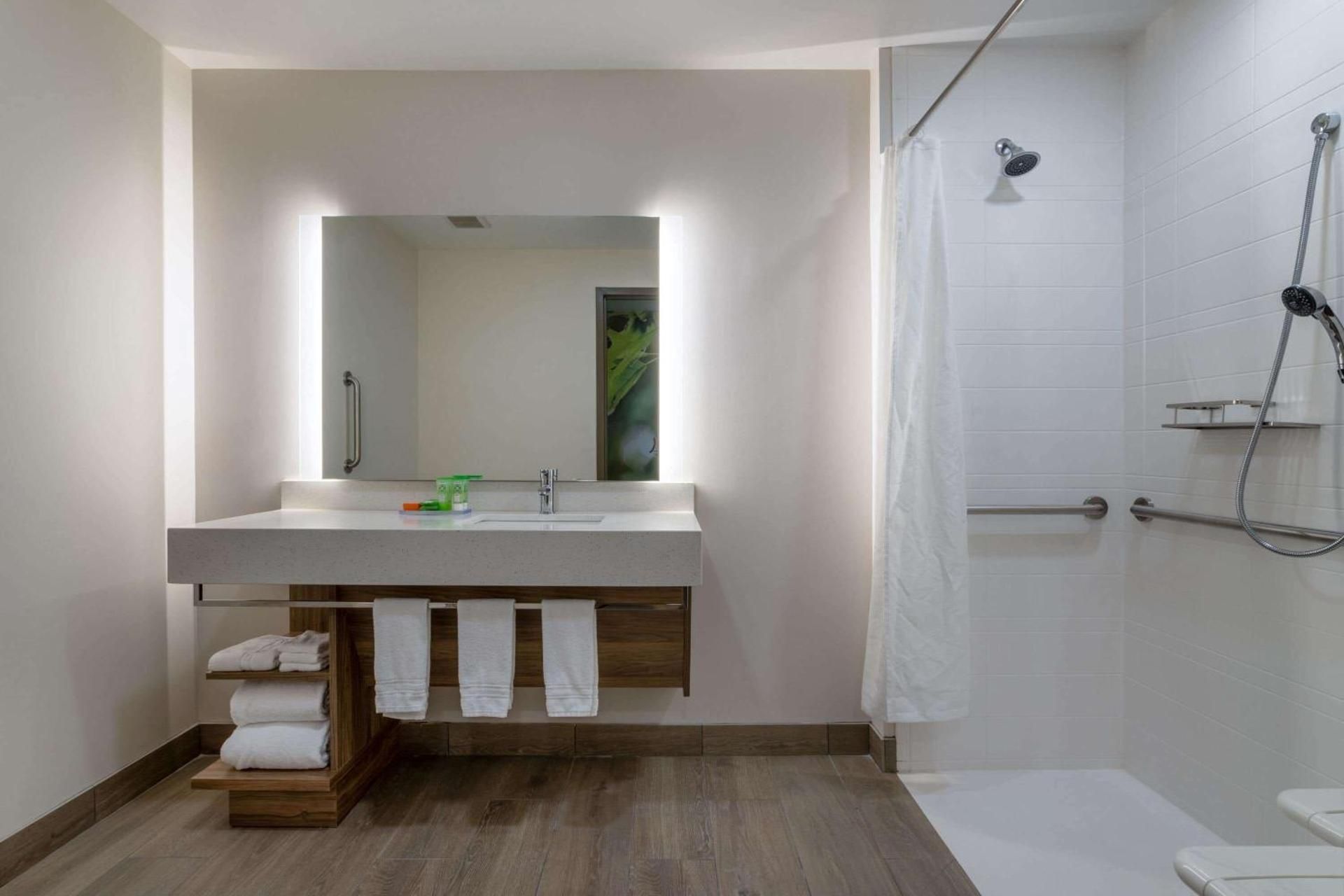 1 King Bed, Mobility Accessible, Roll-in Shower, Non-Smoking