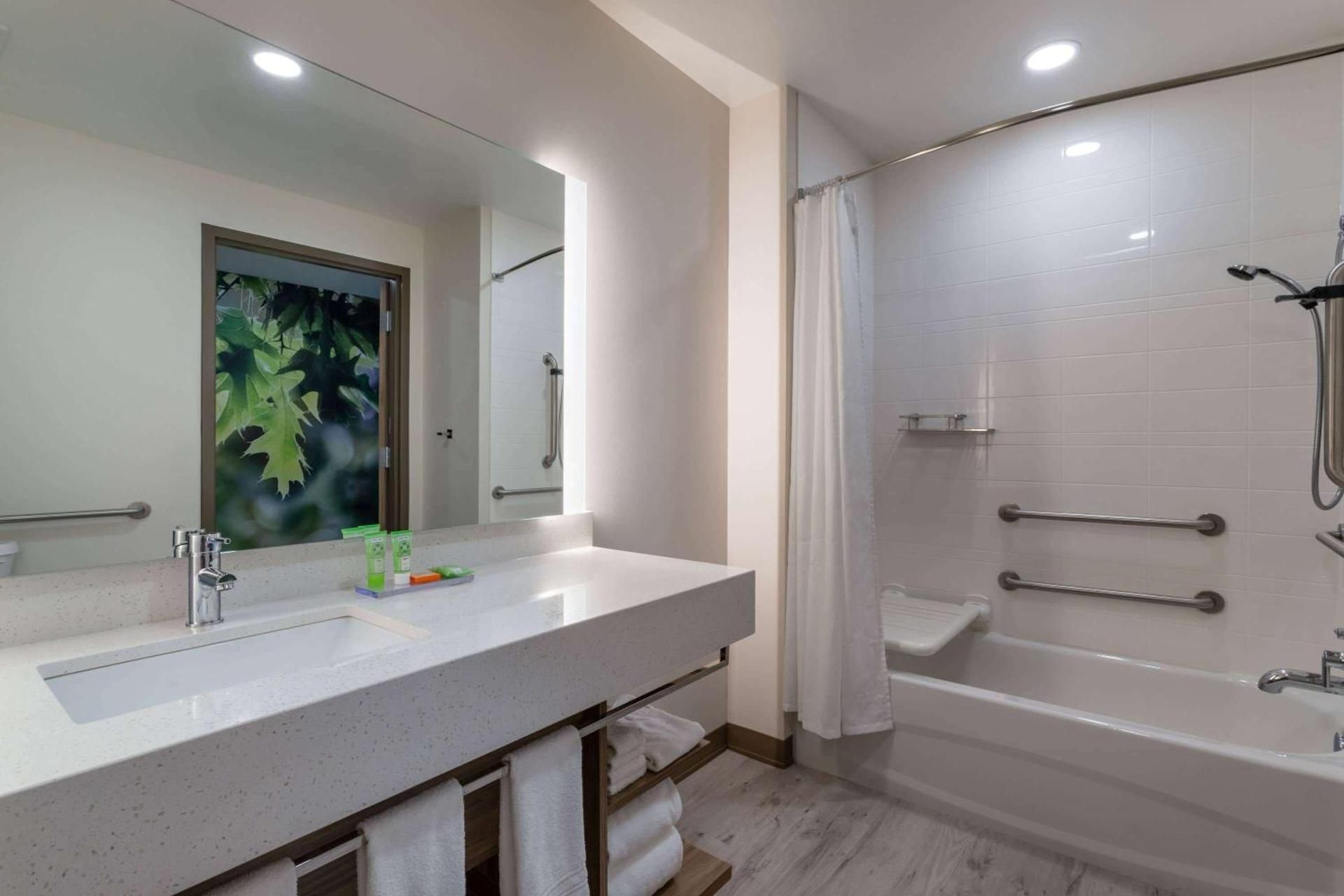 1 King Bed, Deluxe Mobility Accessible, Bathtub w/ Grab Bars, Non-Smoking