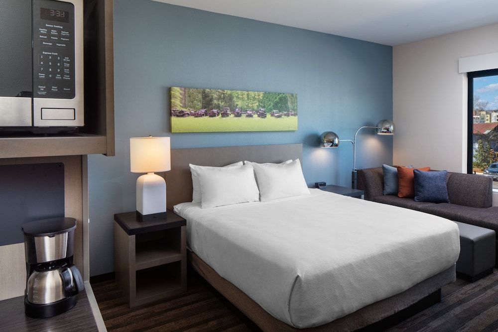 Room, 1 King Bed, Accessible (Shower)