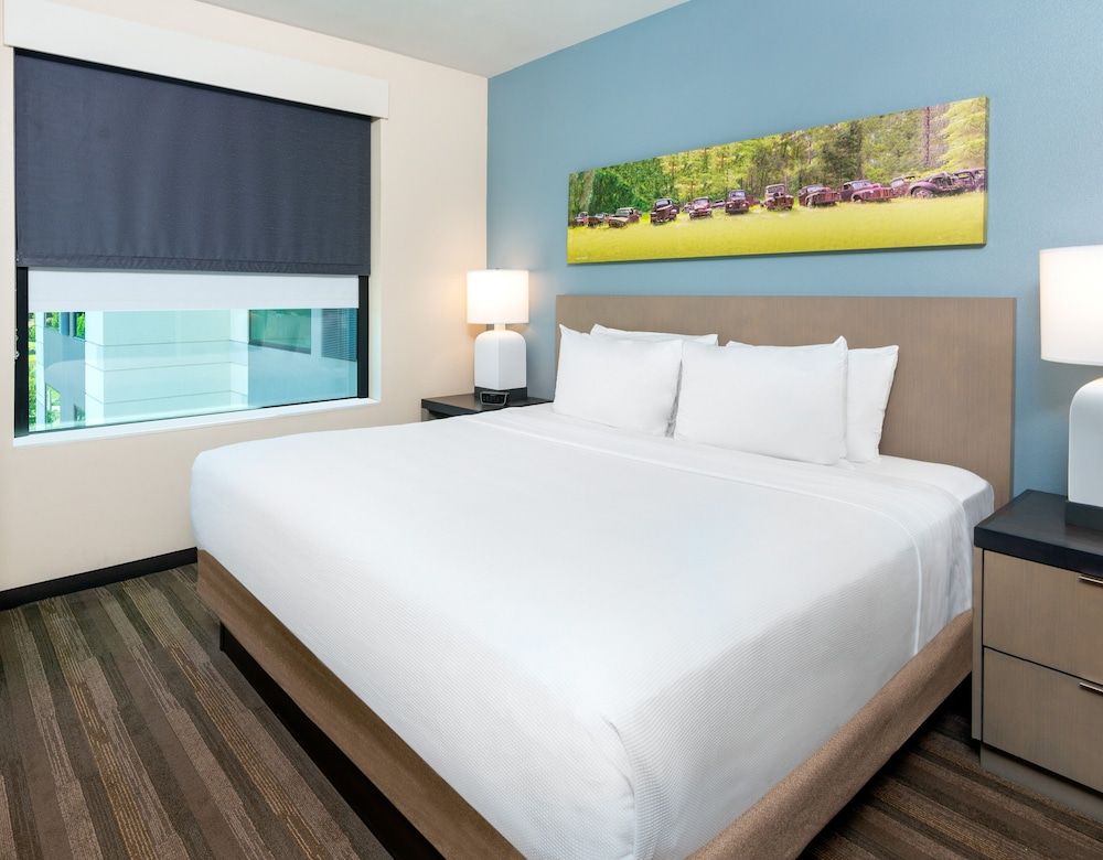 Studio Suite, 1 King Bed with Sofa bed, Accessible (Shower)