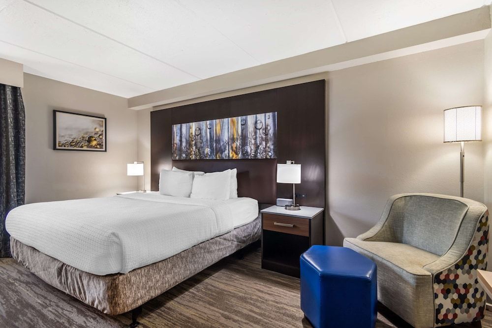 Standard Room, 1 King Bed, Accessible, Refrigerator & Microwave