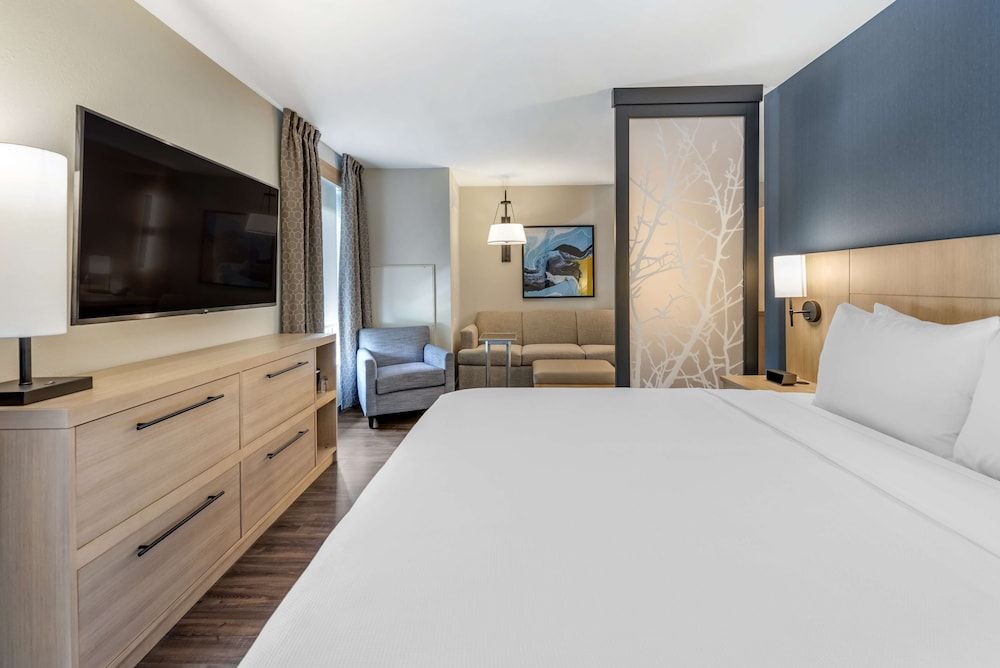 Suite, 1 King Bed with Sofa bed