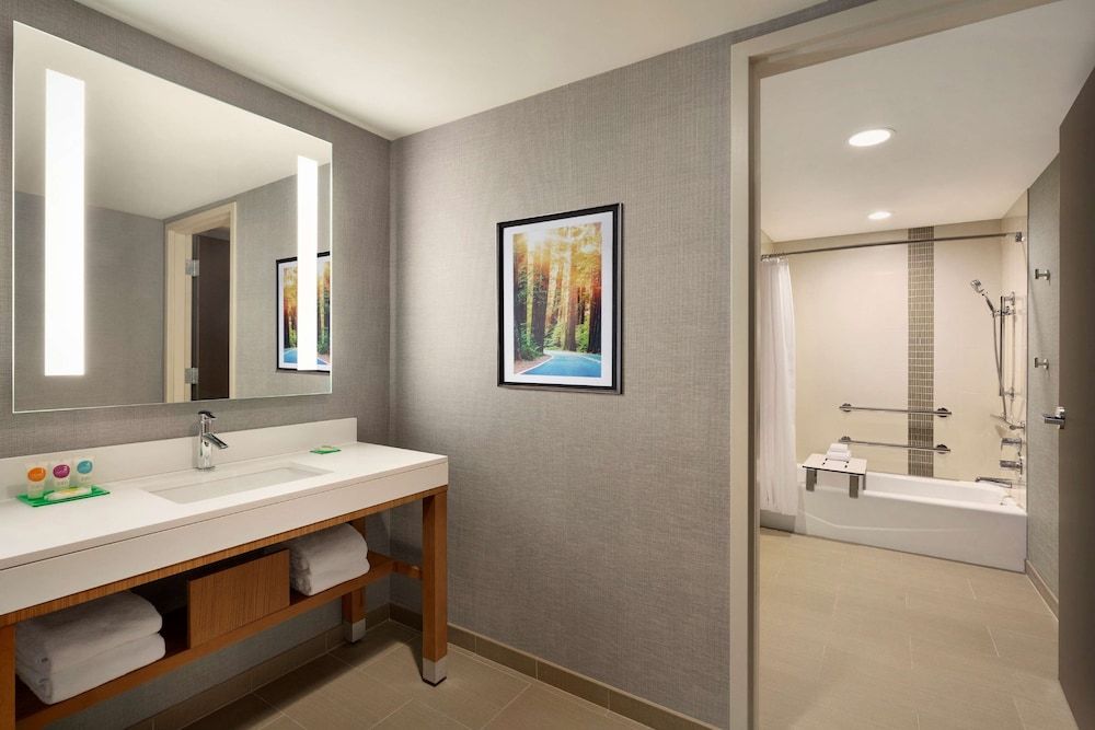 Suite, 1 King Bed with Sofa bed, Accessible, Bathtub