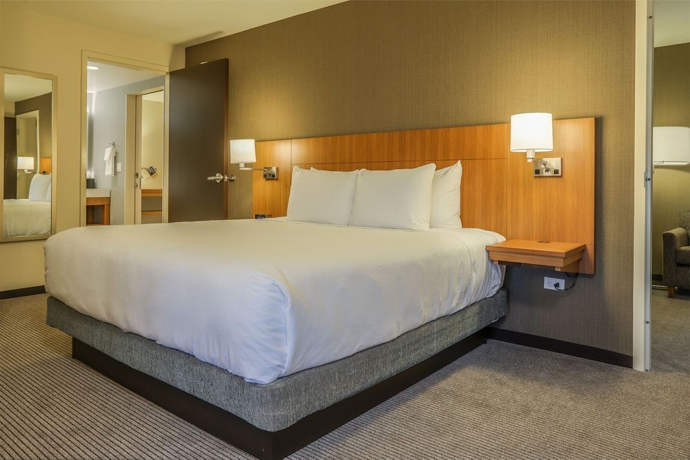 Suite, 1 King Bed with Sofa bed, Accessible, Bathtub