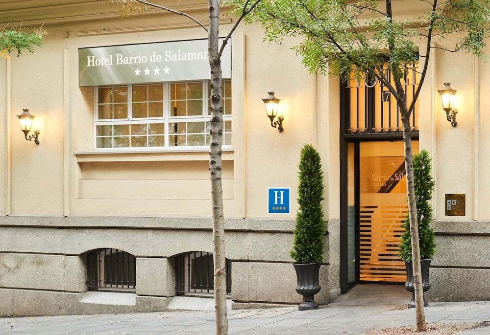 undefined Barrio de Salamanca Suites 6