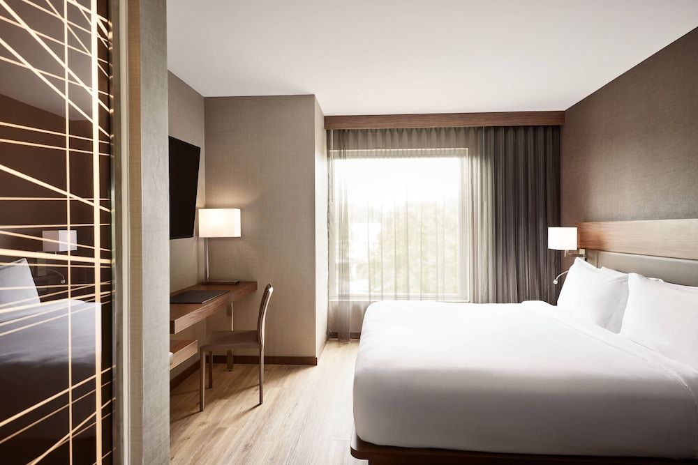 Room, 1 King Bed, Non Smoking