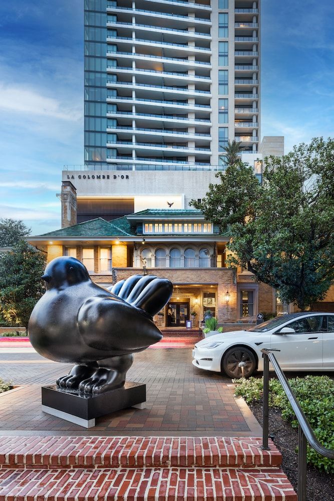 undefined La Colombe d'Or Hotel 8