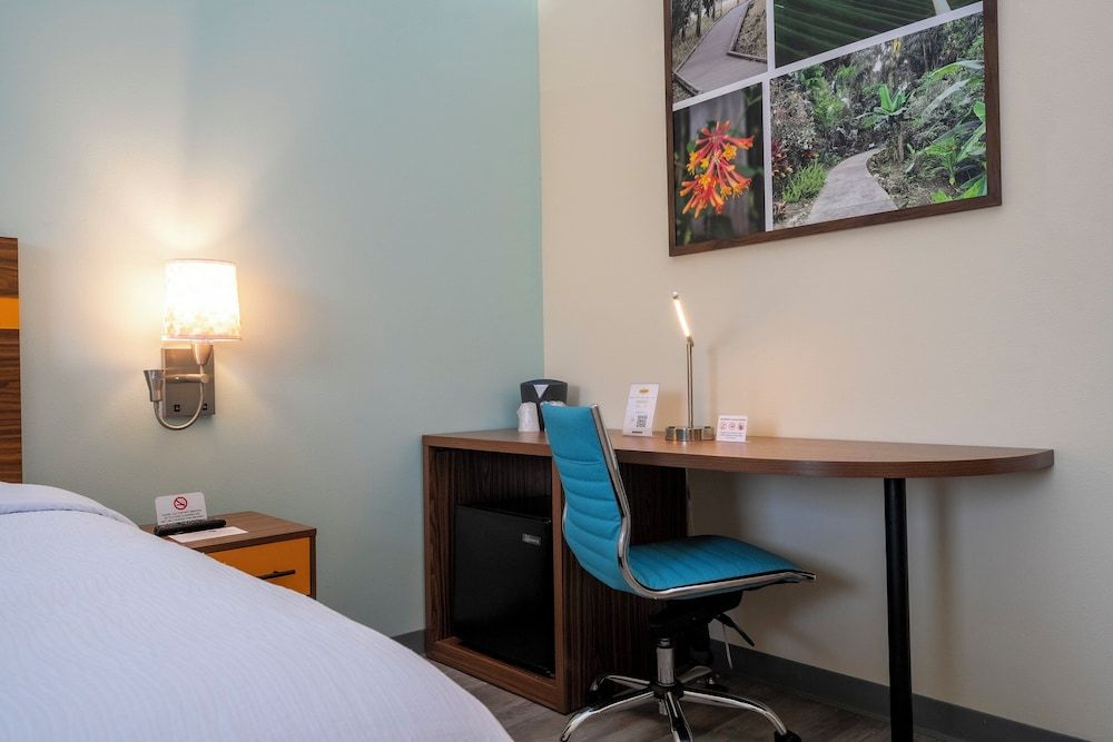 SPOT X Hotel Orlando/Intl Dr by The Red Collection Business Room, 1 King Bed (Smoke Free) 12