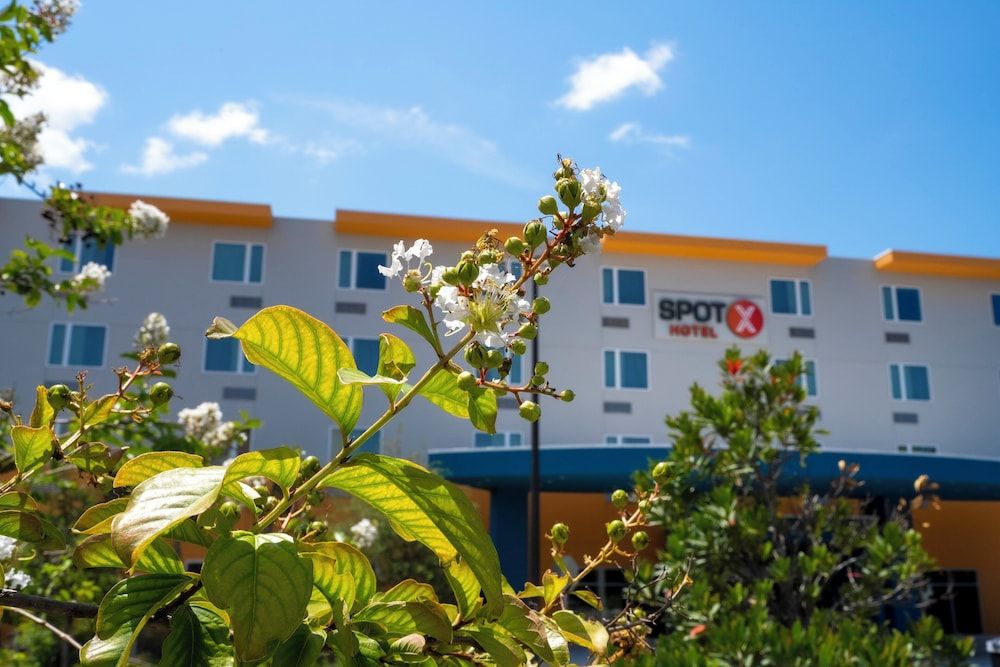 undefined SPOT X Hotel Orlando/Intl Dr by The Red Collection 10