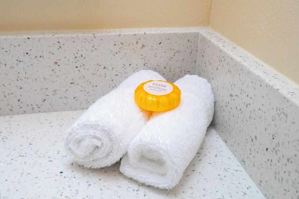 SPOT X Hotel Orlando/Intl Dr by The Red Collection Business Room, 1 King Bed (Smoke Free) 8