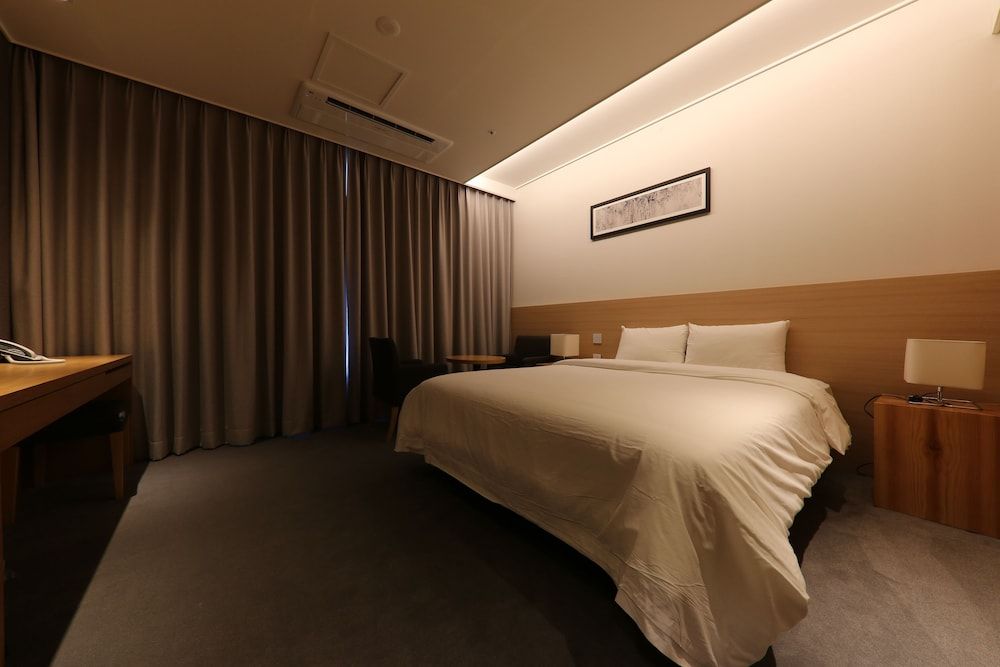 Sejong City Osong Hotel Standard Double Room 4