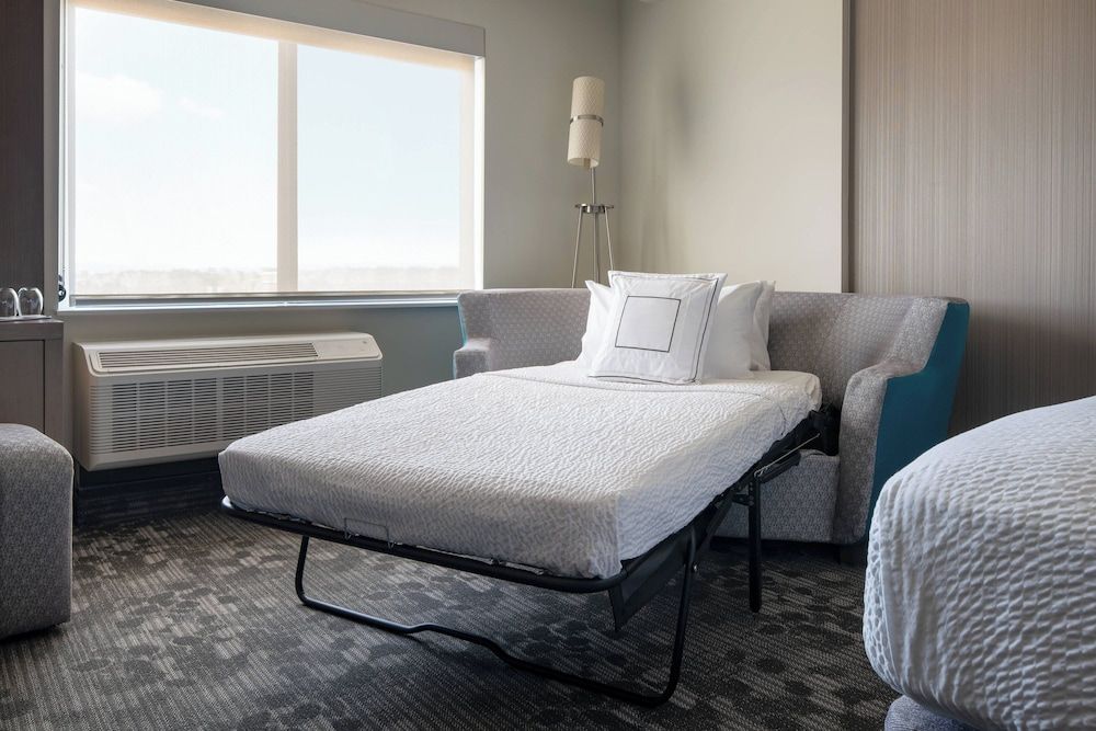 Room, 1 King Bed with Sofa bed, Non Smoking, Mountain View