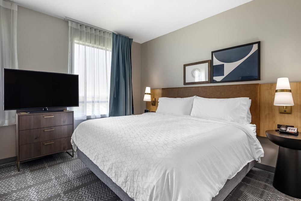 Studio Suite, 1 King Bed with Sofa bed, Kitchen
