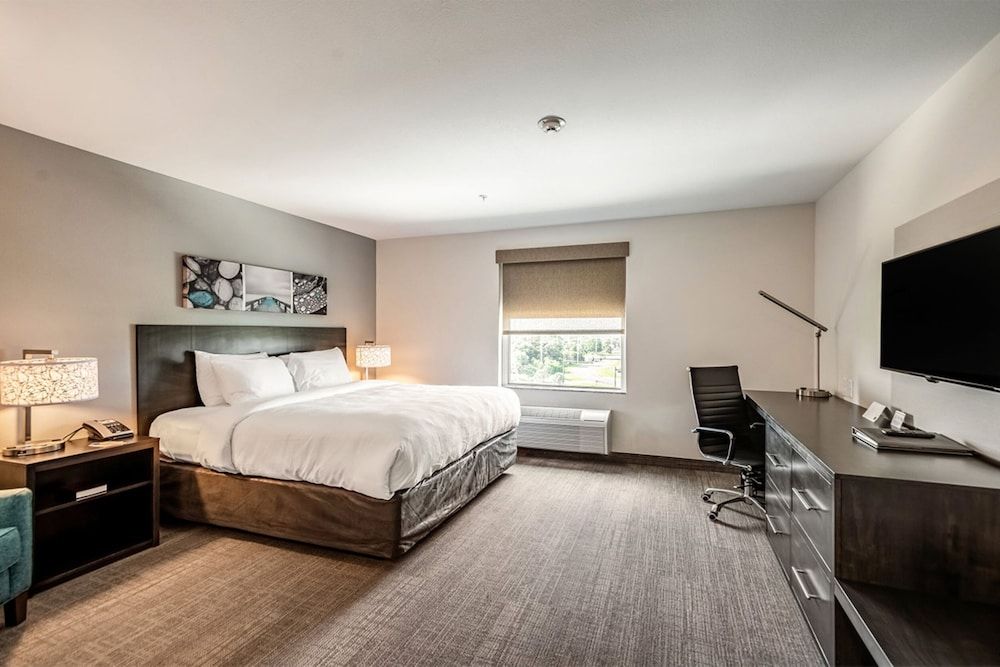 Standard Room, 1 King Bed, Accessible, Refrigerator & Microwave