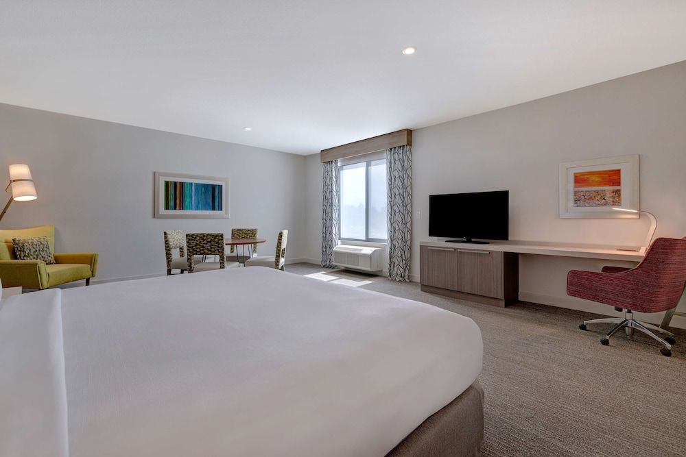 Suite, 1 Bedroom, 1 King Bed and Sofa Bed