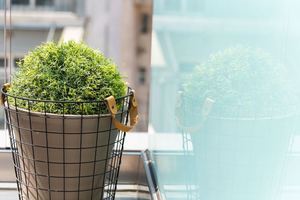 undefined Enattica Suites 7