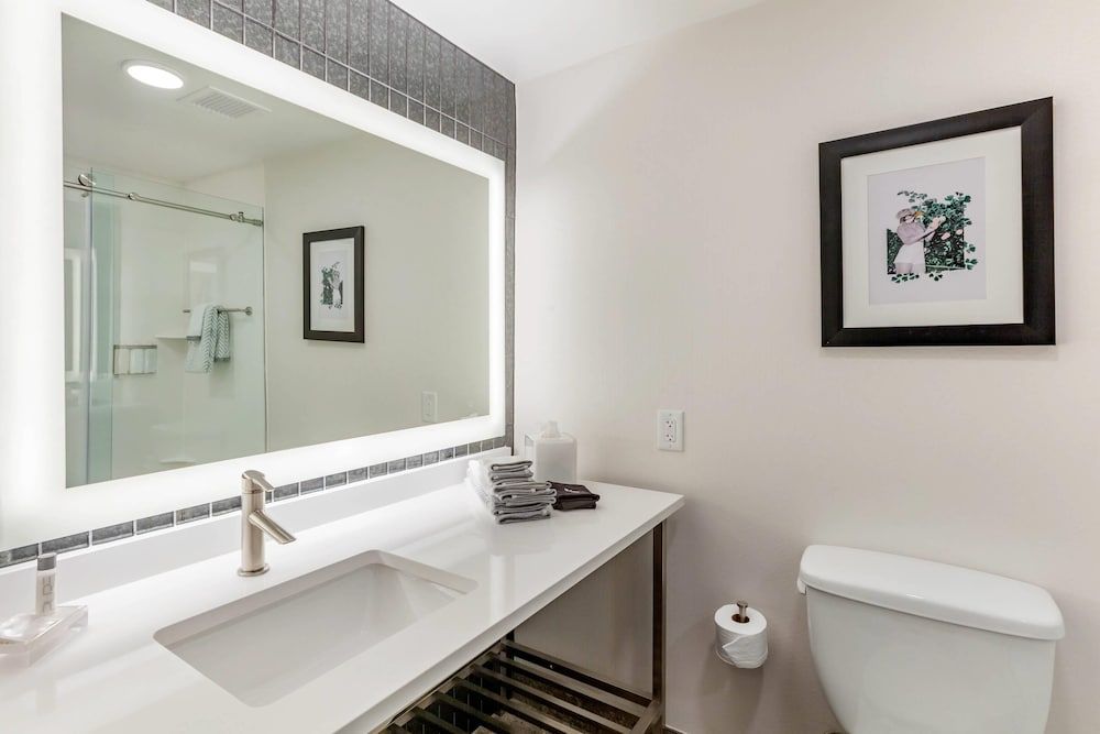 Cambria Hotel Downtown Phoenix Convention Center Standard Room, 1 King Bed, Non Smoking 5