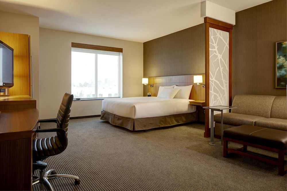 Room, 1 King Bed with Sofa bed, River View