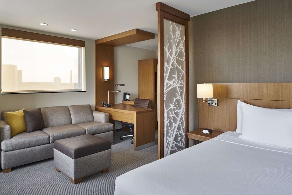 Room, 1 King Bed with Sofa bed