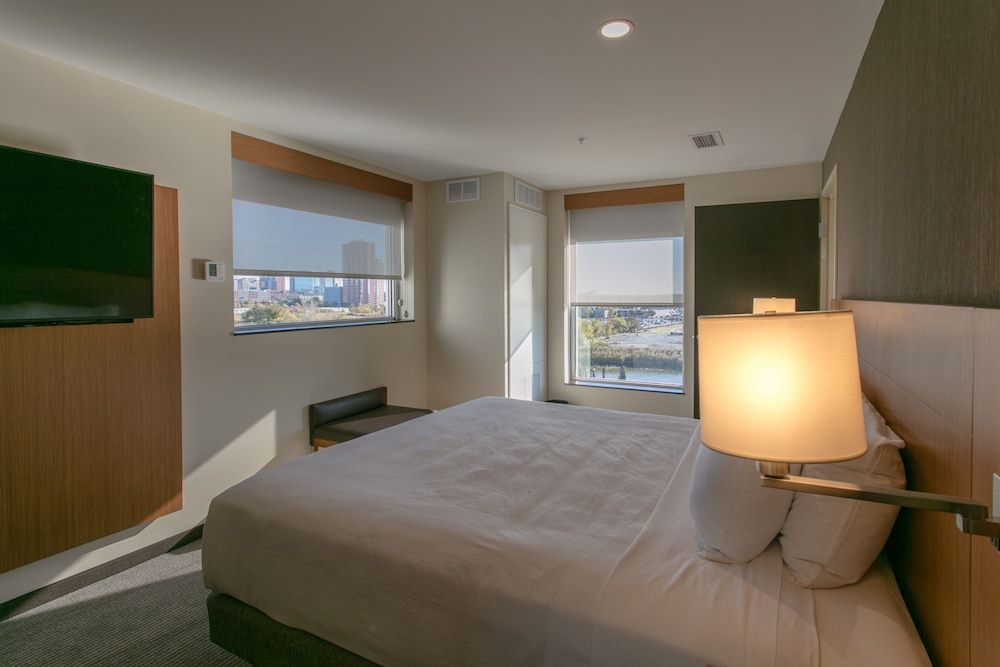 Room, 1 King Bed with Sofa bed, River View