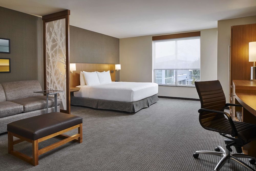 Room, 1 King Bed with Sofa bed, Accessible (Shower)