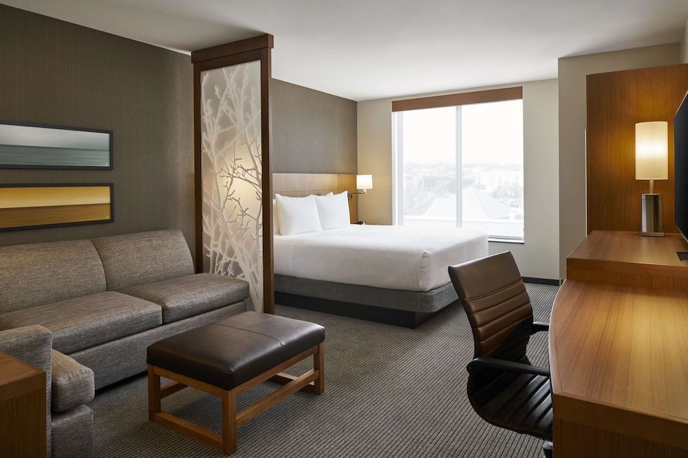 Room, 1 King Bed with Sofa bed