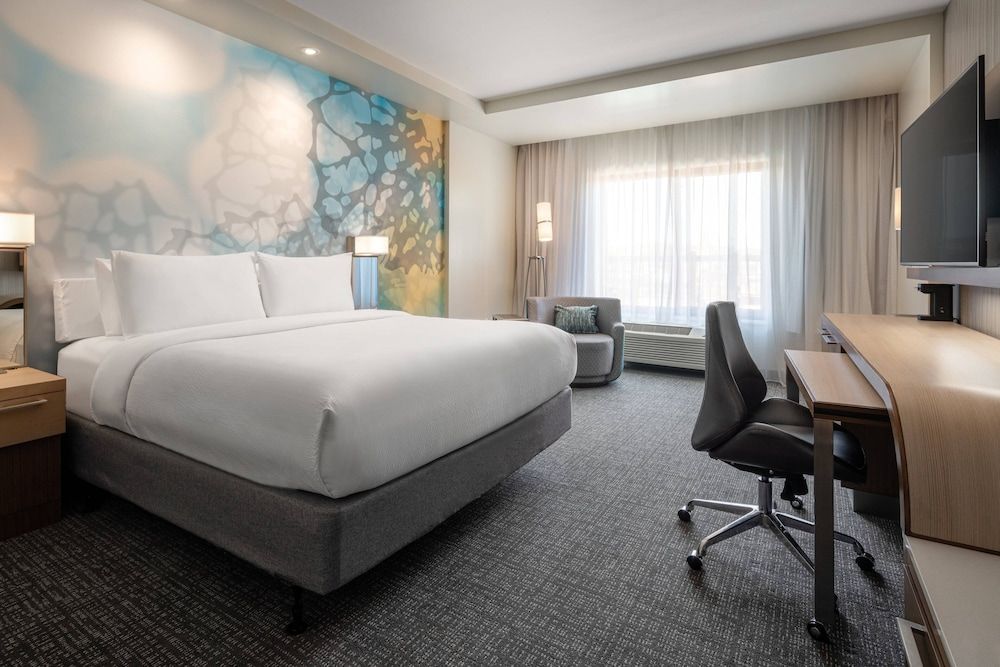 Room, 1 King Bed with Sofa bed (Mobility/Hearing Access, Roll-in Shwr)