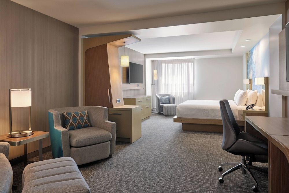 Suite, 1 King Bed with Sofa bed