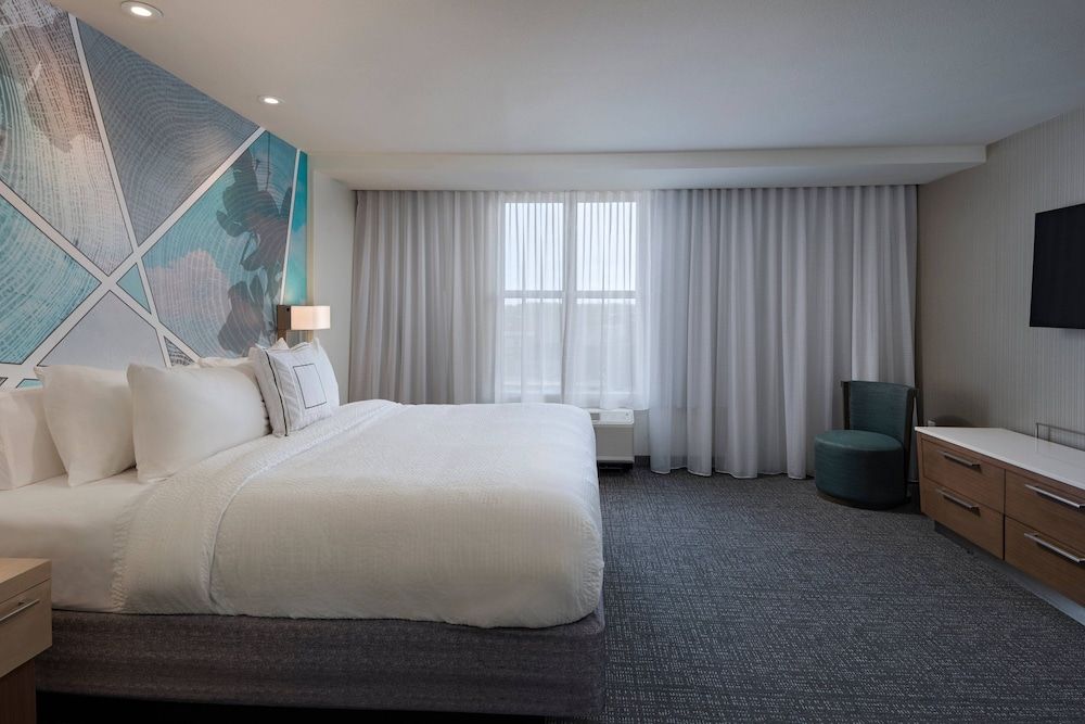 Suite, 1 King Bed with Sofa bed