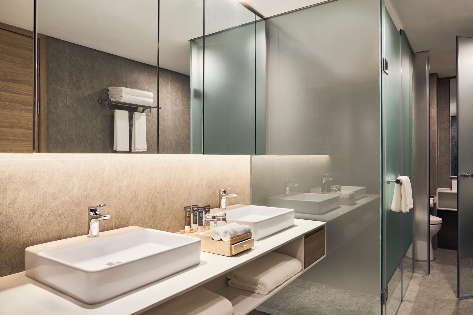 Executive Apartment, 2 Single size beds and 1 s ofa, City view, Lounge access