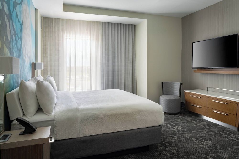Suite, 1 King Bed with Sofa bed, Non Smoking (Hearing Accessible)