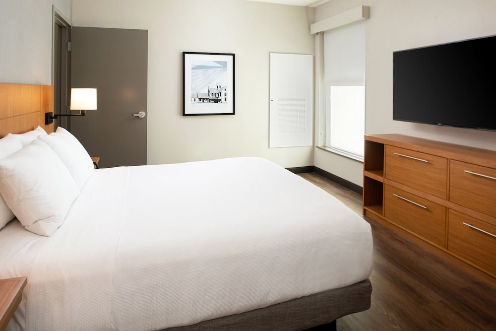 Suite, 1 King Bed with Sofa bed