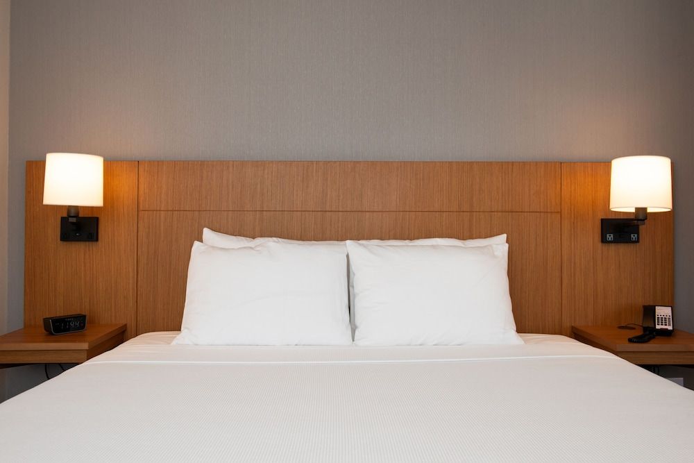 Room, 1 King Bed with Sofa bed