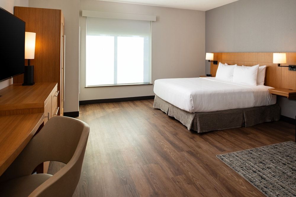 Room, 1 King Bed with Sofa bed, Accessible, Bathtub