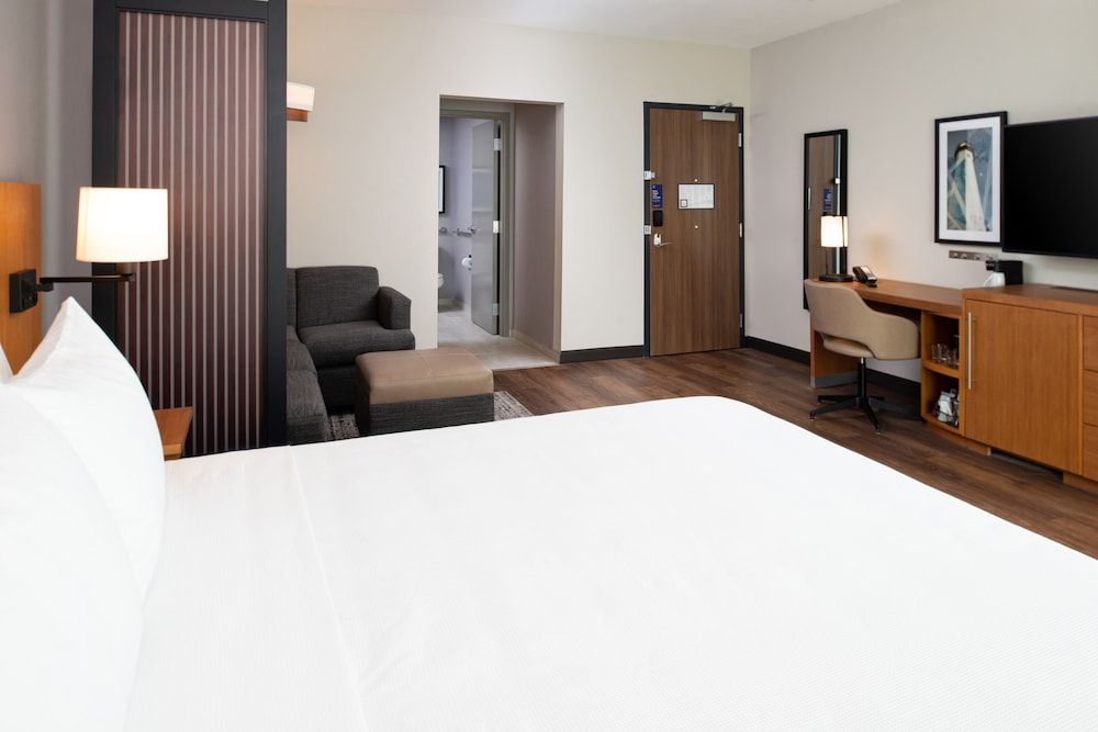 Room, 1 King Bed with Sofa bed, Accessible, Bathtub