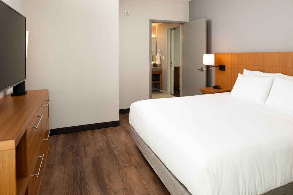 Suite, 1 King Bed with Sofa bed