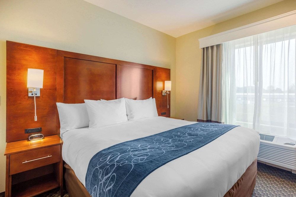 Suite, 1 King Bed with Sofa bed, Non Smoking