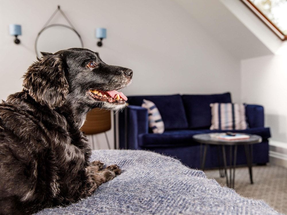 Privilege, Family Room, 1 Double Bed with Sofa bed