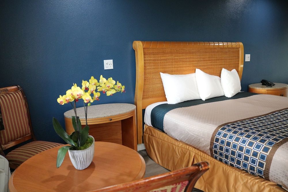 Valli Hi Motel Premium Room, 1 King Bed, Mobility Accessible, Non Smoking 5