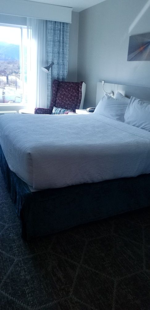 Room, 1 King Bed, Mountain View