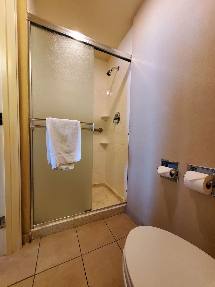 Royal Pacific Motor Inn Standard Room, 1 King Bed 5