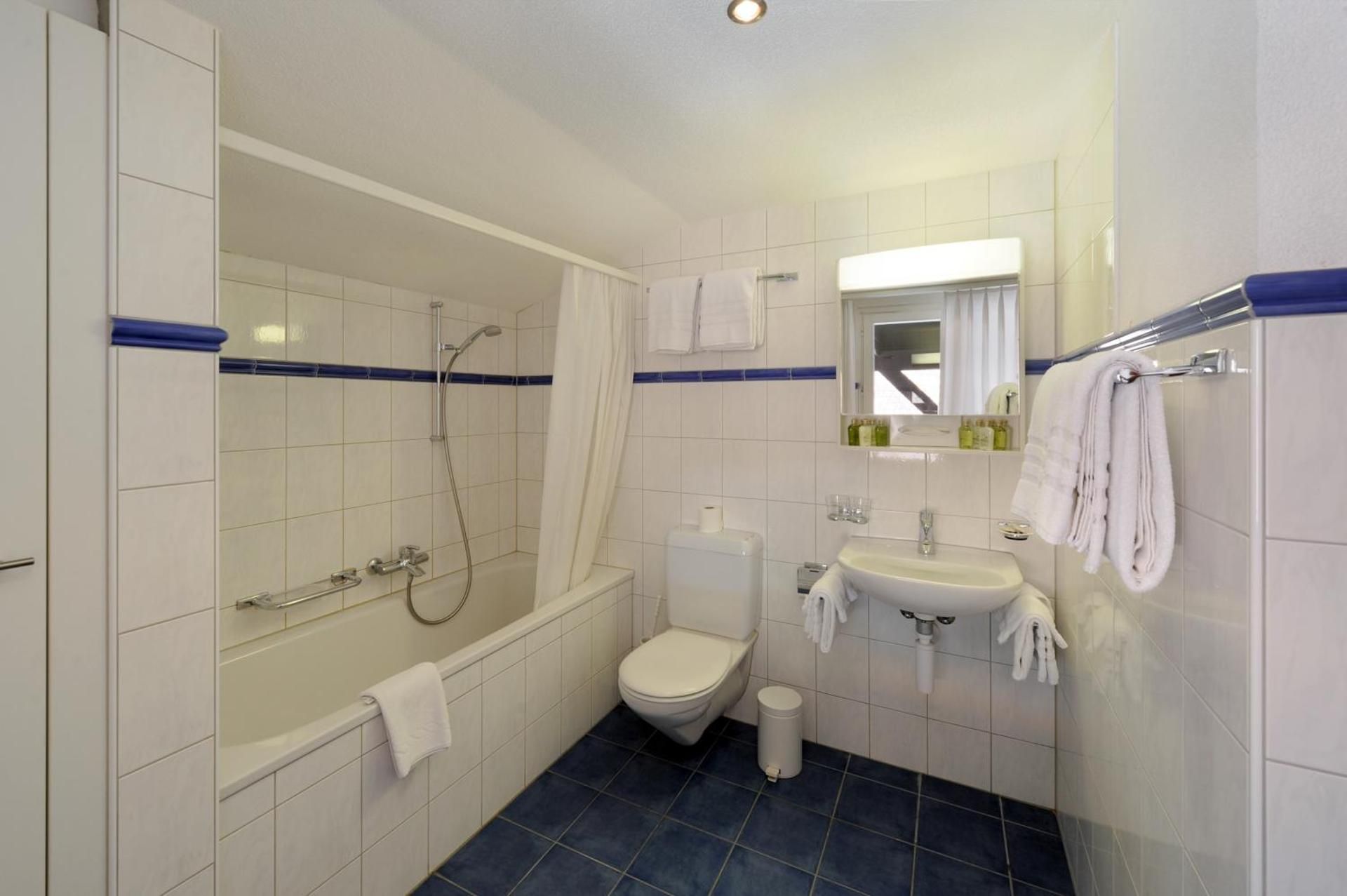 Three-Bedroom Apartment - Attic - Chalet Eiger