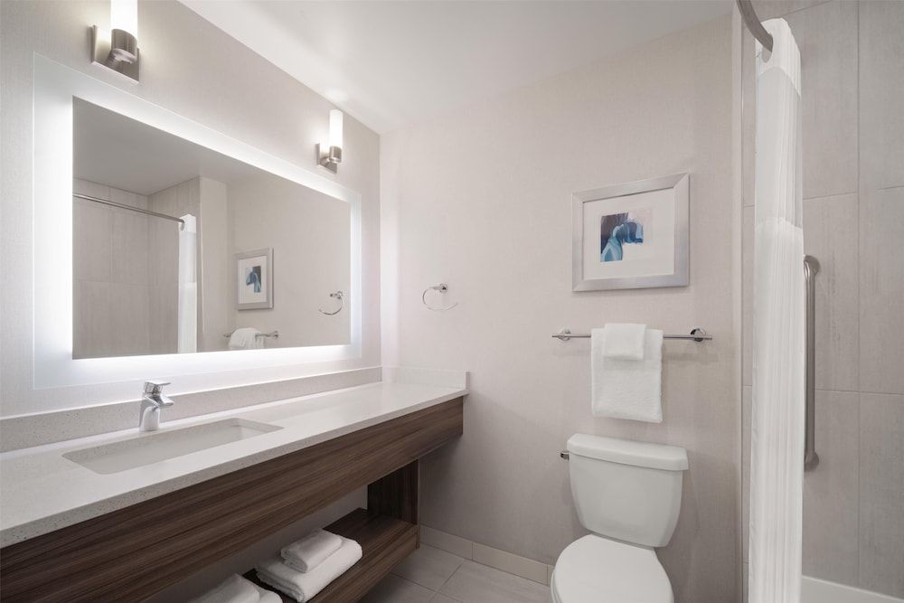 Suite, 1 King Bed, Non Smoking, Refrigerator & Microwave (with Sofabed)