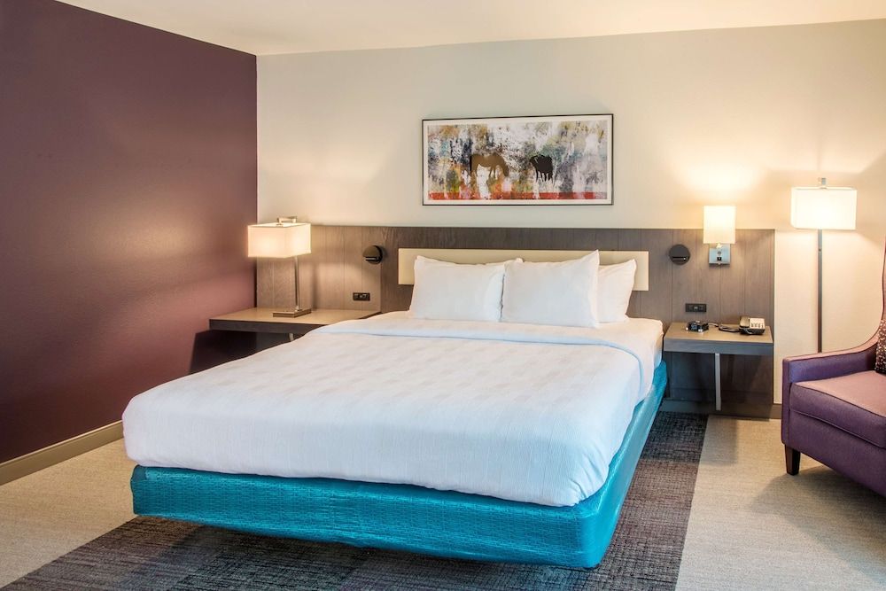 Room, 1 King Bed