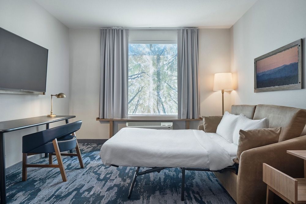 Suite, 1 King Bed with Sofa bed