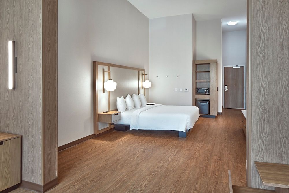 Suite, 1 King Bed with Sofa bed